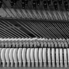 Piano mechanism closeup Piano mechanism closeup